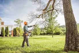  Alanes Ridge, CA Tree Care Services Pros