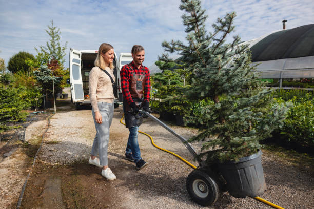 Best Artificial Turf Installation  in Alanes Ridge, CA